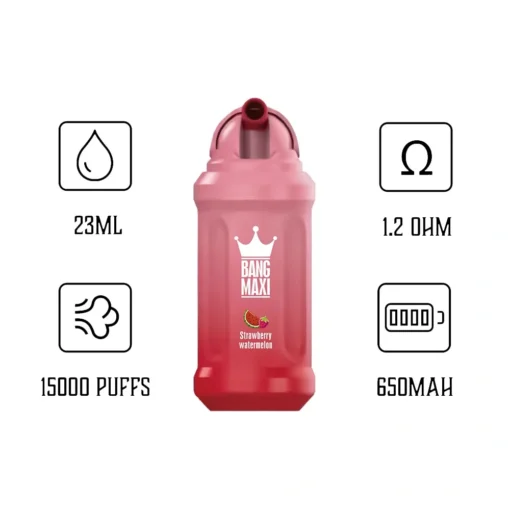 AIVONO BANG MAXI 15000 tiri E-cigarette multiuso - Vari gusti, 0%, 2%, 3%, 5% nicotina, ricaricabile, all'ingrosso - immagine 4