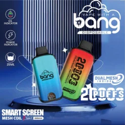 Bang Vape 20000 Puffs Dual Mesh Verschillende Smaken 0% 2% 3% 5% Nicotine LED Display Oplaadbare Groothandel Wegwerp Vape