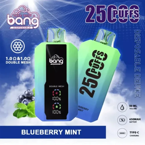 Bang 25000 trajets Affichage LCD, 0% 2% 3% 5% Faible en nicotine, Offre de gros pour les vapes jetables rechargeables - Image 5