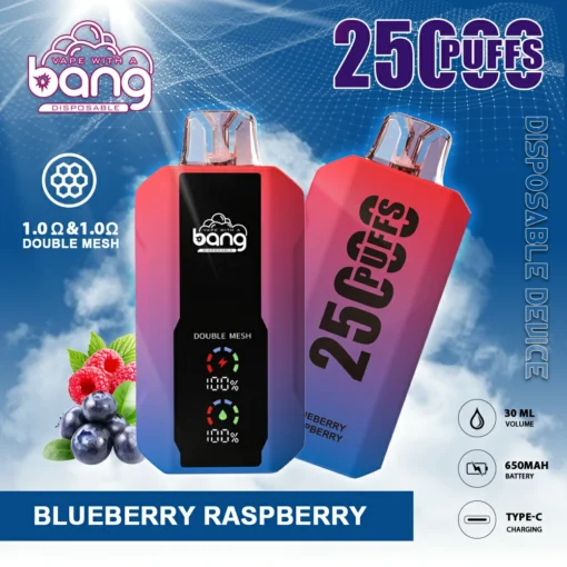 Bang 25000 trajets Affichage LCD, 0% 2% 3% 5% Faible en nicotine, Offre de gros pour les vapes jetables rechargeables - Image 4