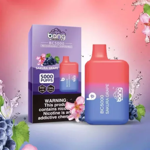 Bang BC 5000 boccate Vari gusti 0% 2% 3% 5% Basso contenuto di nicotina Sigarette elettroniche ricaricabili usa e getta all'ingrosso
