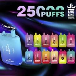 Bang King 25000 Puffs Dual Pods 0% 2% 3% 5% Low Nicotine Rechargeable Disposable E-cigarette Stylish Design Wholesale