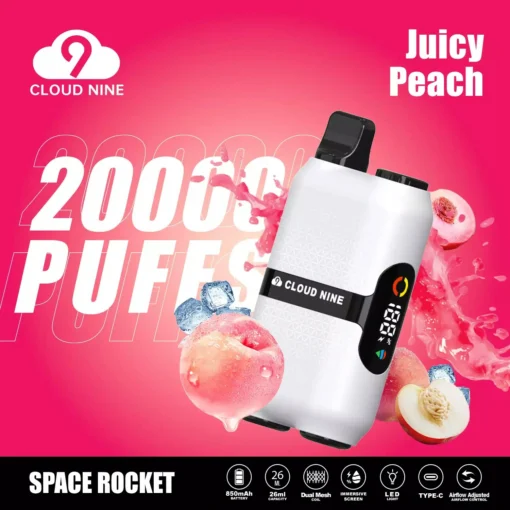 CLOUD NINE D33 20000 treinen Dual-Mesh Immersief scherm 5% Lage nicotinegehalte Groothandel Herlaadbare Wegwerp E-sigaret - Afbeelding 4