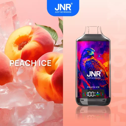 JNR Falcon X 18000 Züge Digitales Display Dual-Mesh E-Zigarette | 0%, 2%, 5% Nikotinstärken | Wiederaufladbarer Einweg-Vaporizer Großhandel – Image 27 remains as is, here is translation: JNR Falcon X 18000 tirages Écran numérique Double maille E-cigarette | 0%, 2%, 5% Taux de nicotine | Vaporizateur jetable rechargeable en gros – Image 27
