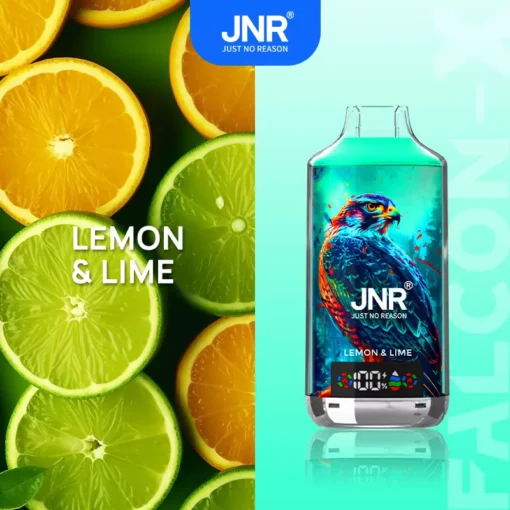 JNR Falcon X 18000 Züge Digitales Display Dual-Mesh E-Zigarette | 0%, 2%, 5% Nikotinstärken | Wiederaufladbarer Einweg-Vaporizer Großhandel – Image 21  devient JNR Falcon X 18000 trajets Affichage numérique Double maille E-cigarette | 0%, 2%, 5% Taux de nicotine | Vaporizateur jetable rechargeable en gros – Image 21