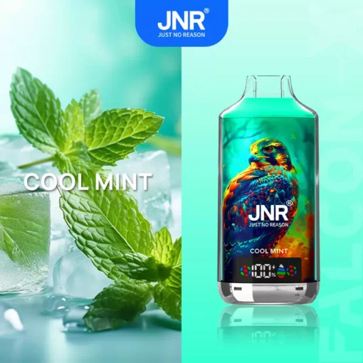 JNR Falcon X 18000 Züge Digitales Display Dual-Mesh E-Zigarette | 0%, 2%, 5% Nikotinstärken | Wiederaufladbarer Einweg-Vaporizer Großhandel – Image 11 remains JNR Falcon X 18000 trains Digital Display Dual-Mesh E-Cigarette | 0%, 2%, 5% Nicotine Strengths | Rechargeable Disposable Vaporizer Wholesale – Image 11