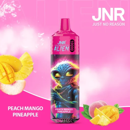 JNR Alien 10000 treinen Wegwerp E-sigaret Oplaadbaar - 50 smaken, 0%/2%/5% Nicotine, Groothandel & Goedkope kwantiteit korting - Afbeelding 9