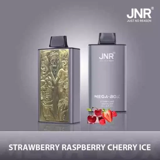 JNR Mega Box 25000 treni (30ml E-Liquid) – Vape monouso ricaricabili con bobina a doppia maglia e nicotina 0%/2%/5% | Prezzi all'ingrosso su WideVape - immagine 2