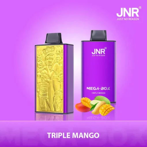 JNR Mega Box 25000 treni (30ml E-Liquid) – Vape monouso ricaricabili con bobina a doppia maglia e nicotina 0%/2%/5% | Prezzi all'ingrosso su WideVape - immagine 10