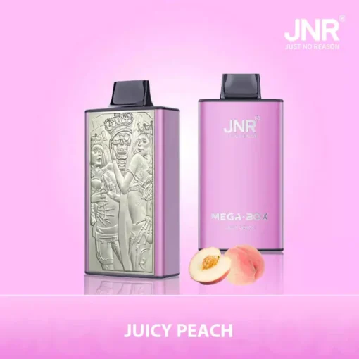 JNR Mega Box 25000 treni (30ml E-Liquid) – Vape monouso ricaricabili con bobina a doppia maglia e nicotina 0%/2%/5% | Prezzi all'ingrosso su WideVape - immagine 6