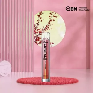 SFOG Einweg E-Zigaretten