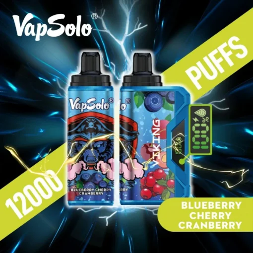 VapSolo Viking 12000 trekt LCD-scherm 2% 5% Lage nicotine Oplaadbare wegwerp E-sigaret Groothandel - Afbeelding 2