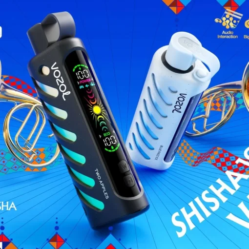 Vozol Gear Hookah 25000 Puffs Double Mesh 2.1 Inch Colour Screen 5% Low Nicotine Wholesale Multiple Flavours Rechargeable Disposable Vapor Pens