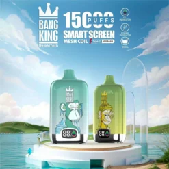 Bang King Smartscreen 15000 Züge | Smart Screen | 0%, 2%, 3%, 5% Nikotin | Wiederaufladbare Einweg-E-Zigarette Großhandel