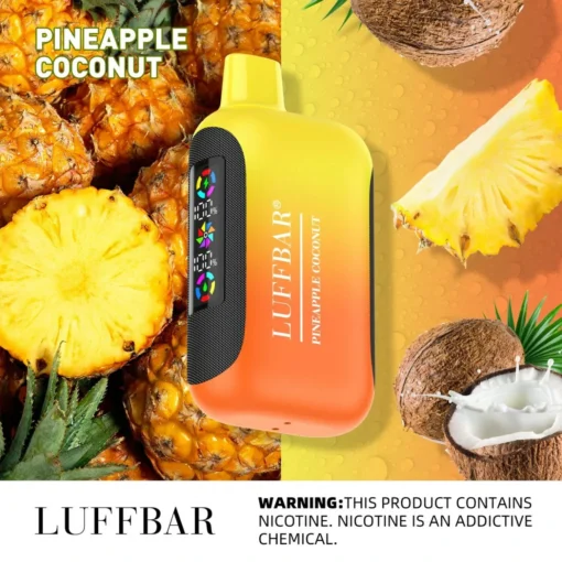 LUFFBAR Dually 20000 tirages - E-cigarette jetable rechargeable avec double écran et 18 saveurs pour vente en gros - Image 4