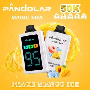 PANDOLAR Einweg E-Zigaretten